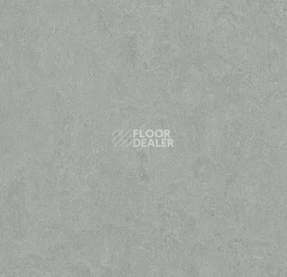 Линолеум Forbo Marmoleum Decibel on Order 388935 cinder фото 1 | FLOORDEALER